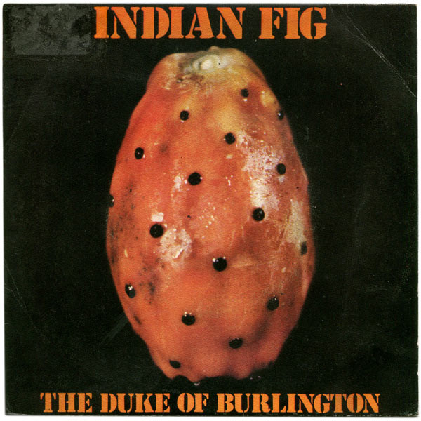 Indian Fig