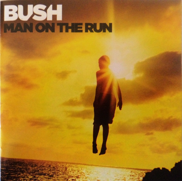 Man On The Run