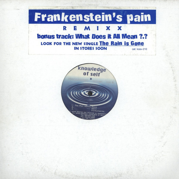 What Does It All Mean / The Pain Remixx