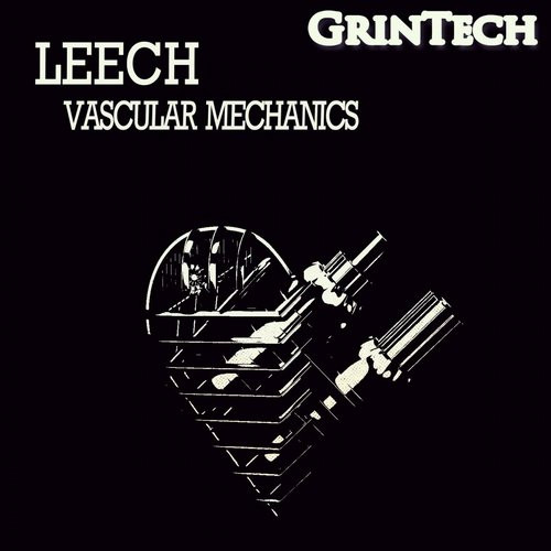 Vascular Mechanics