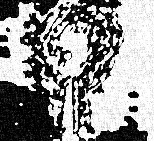 Ghost Box Anomalies