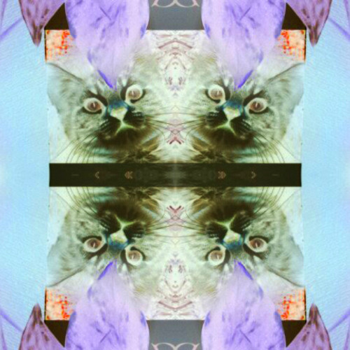 ☀ Blackoutbaby Mixxtape ☀
