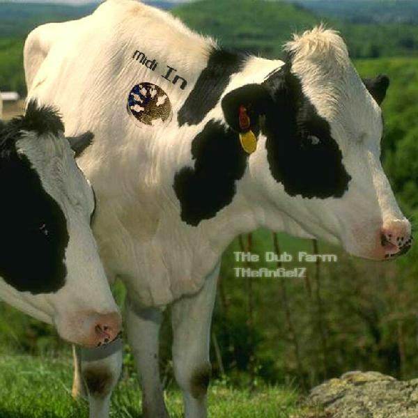 The Dub Farm