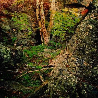 Droning Earth Vol34