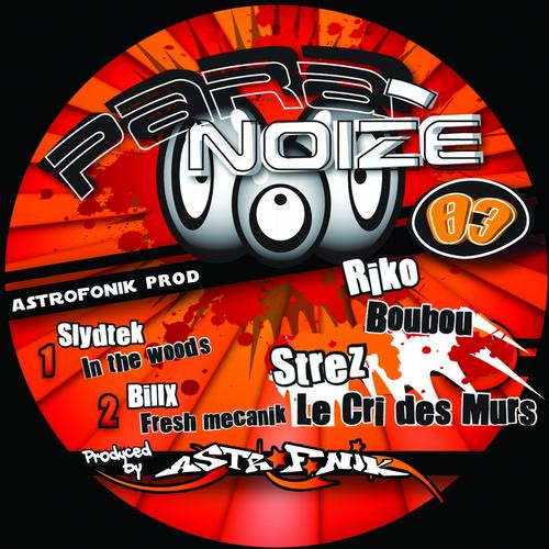 Para-Noize 03