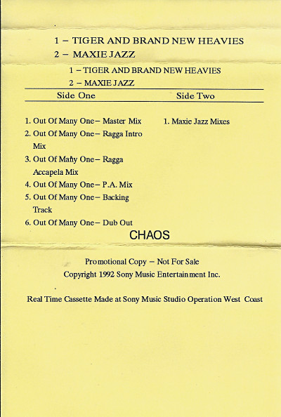 Tiger And Brand New Heavies / Maxie Jazz (Out Of Many One)