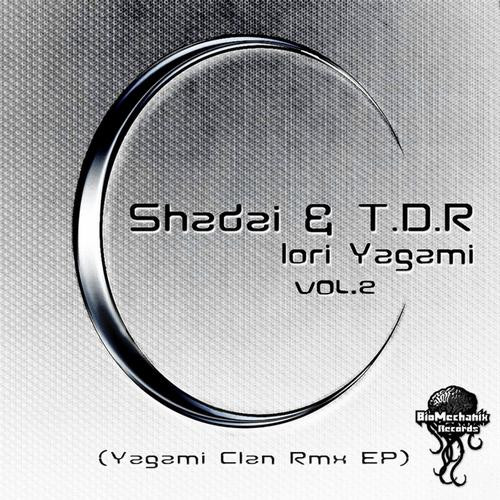 Iori Yagami Vol.2