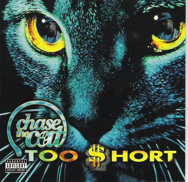 Chase The Cat