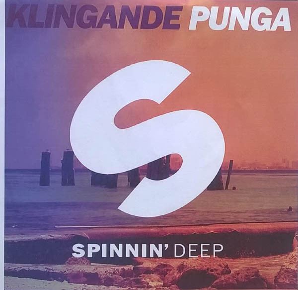 Punga
