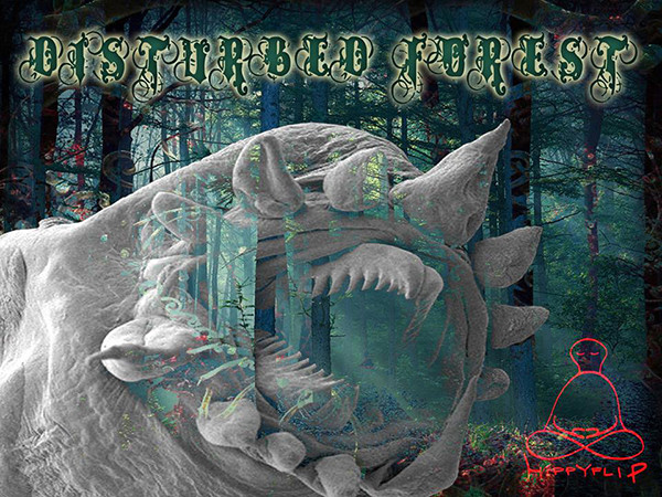 Disturbed Forest