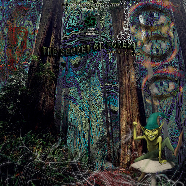 The Secret Of Forest