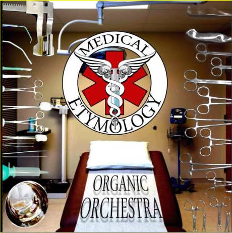 Organic Orchestra