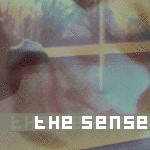 The Sense