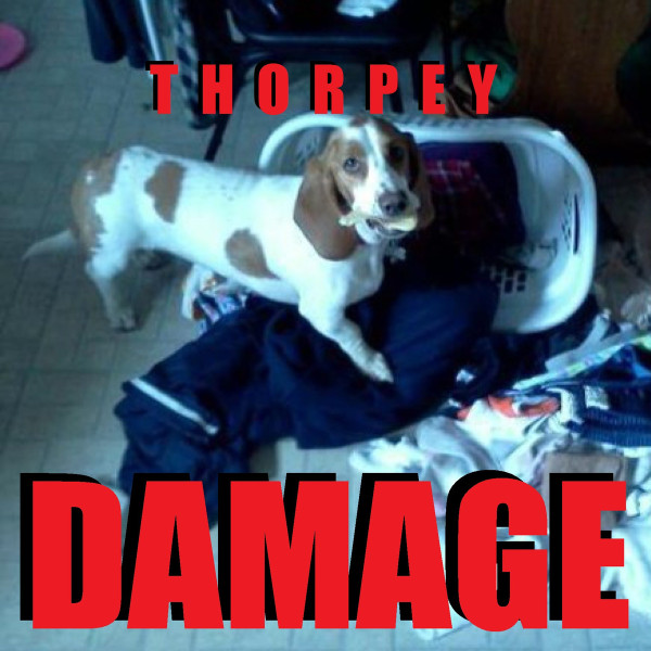Damage Remixes EP