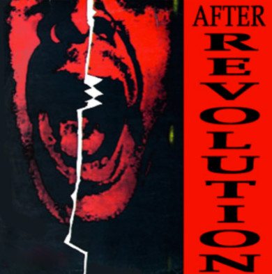 After Revolution