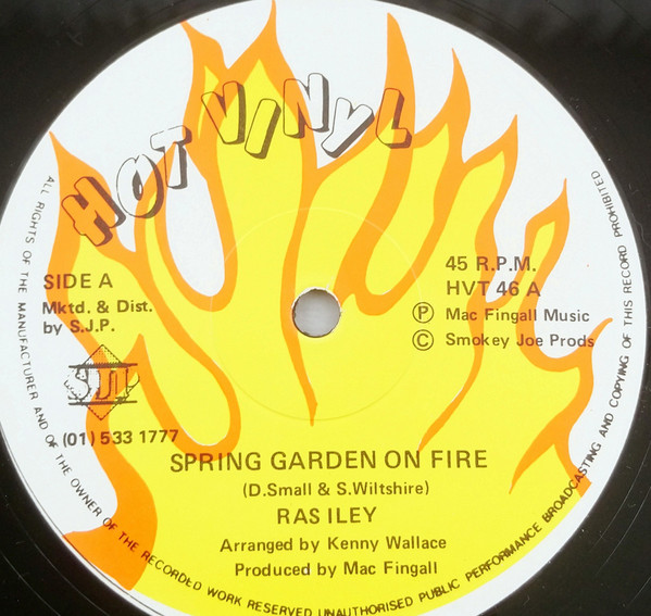 Spring Garden On Fire