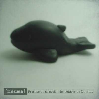 Proceso De Seleccion Del Cetaceo En Tres Partes