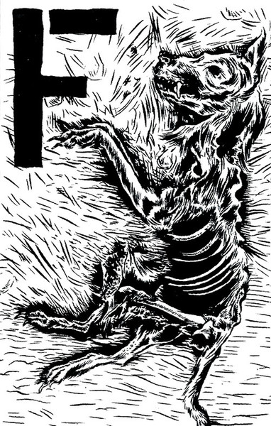 Dog Bodies