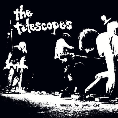 Down The Stairs / I Wanna Be Your Dog