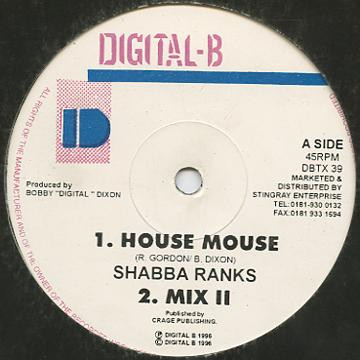 House Mouse / Saton