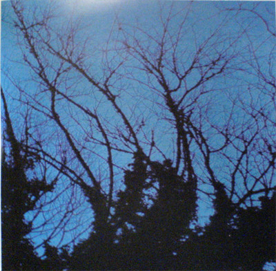 Split