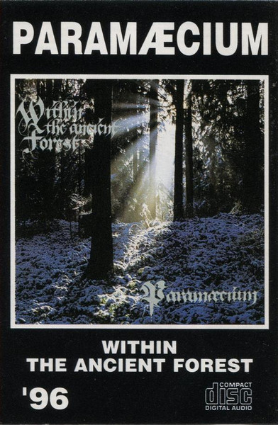 Within The Ancient Forest
