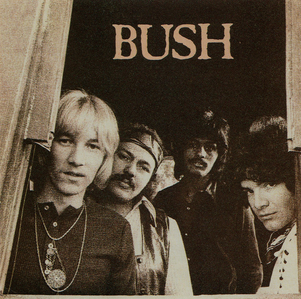 Bush