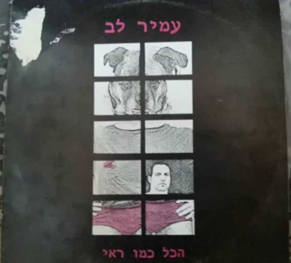 הכל כמו ראי