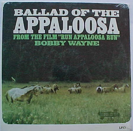 Appaloosa