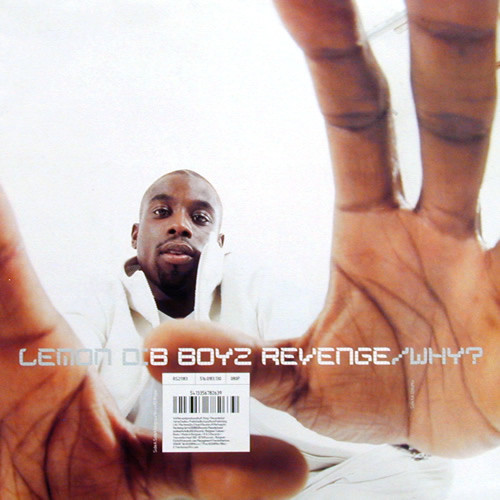 B Boyz Revenge / Why?