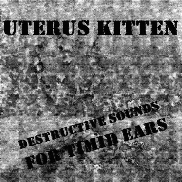 Destructive Sounds For Timid Ears