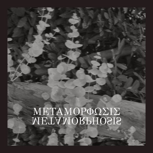 Metamorphosis