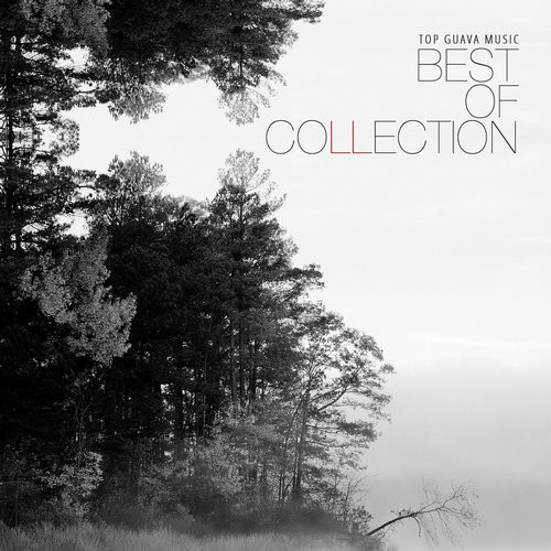 Best Of Collection
