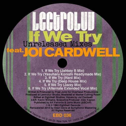 If We Try (Unreleased Mixes)