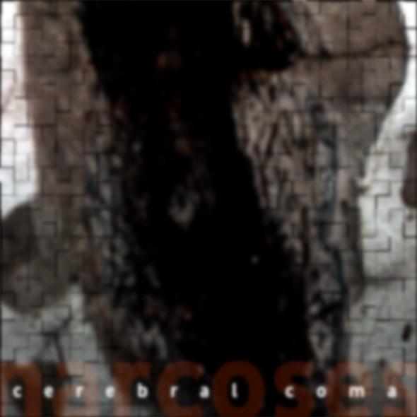 Cerebral Coma