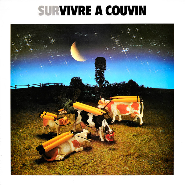 Survivre A Couvin