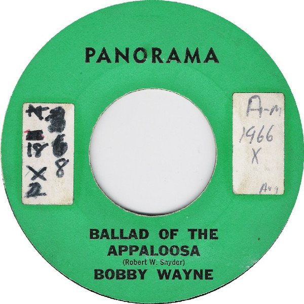 Ballad Of The Appaloosa / The Blizzard