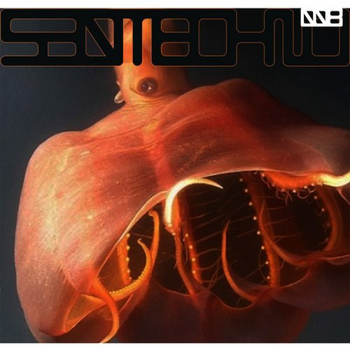 Remote Locations EP