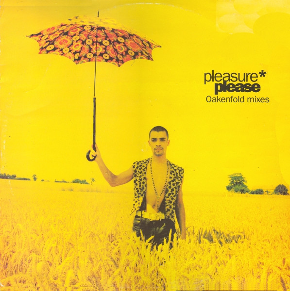 Please (Oakenfold Mixes)