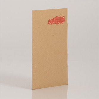 Devon Folklore Tapes Volume V: Ornithology