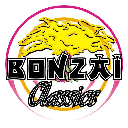 Bonzai Worx - 15 Years Of Music - Best Of Trance - Third Ultimate Trance Collection