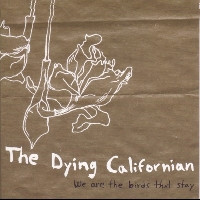 We Are The Birds That Stay