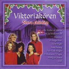 Stora Juledag