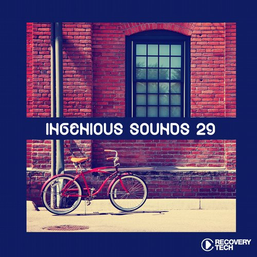 Ingenious Sounds 29