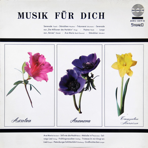 Musik Für Dich