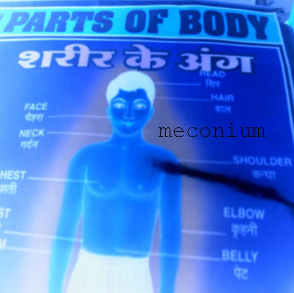 Parts Of Body