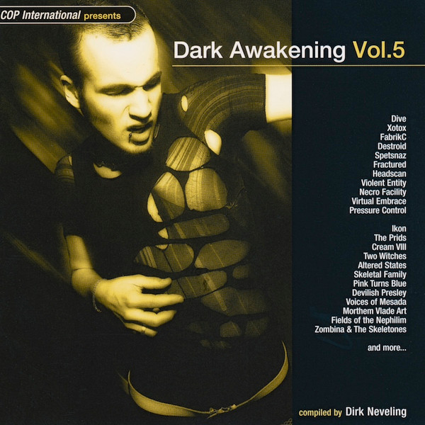 Dark Awakening Vol. 5