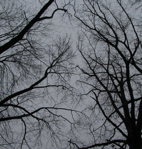 COLD THINGS