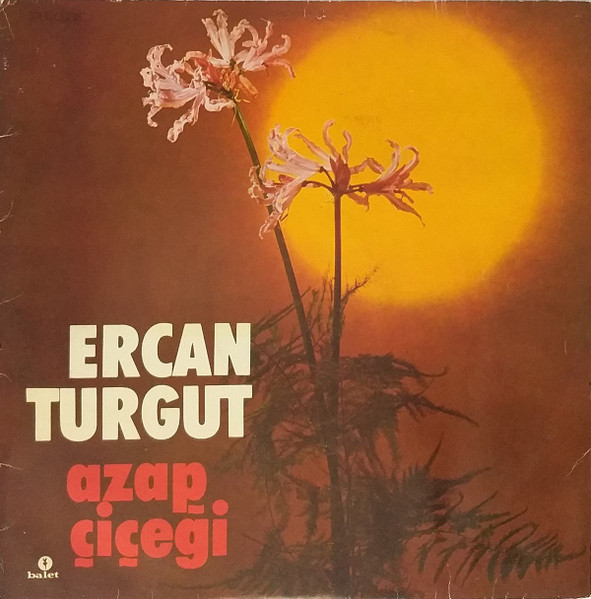 Azap Çiçeği