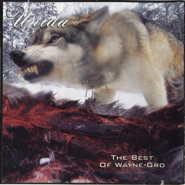 The Best Of Wayne-Gro / Coming Down The Mountain